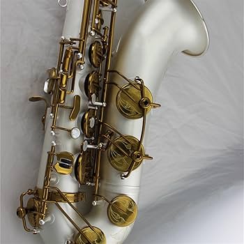 Amazon | 高級テナーサックス 銀メッキボディ 金鍵 サックス楽器